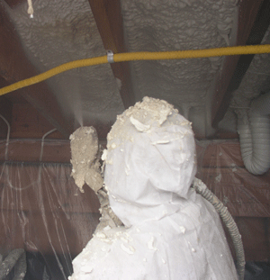 Fort Meyers FL crawl space insulation
